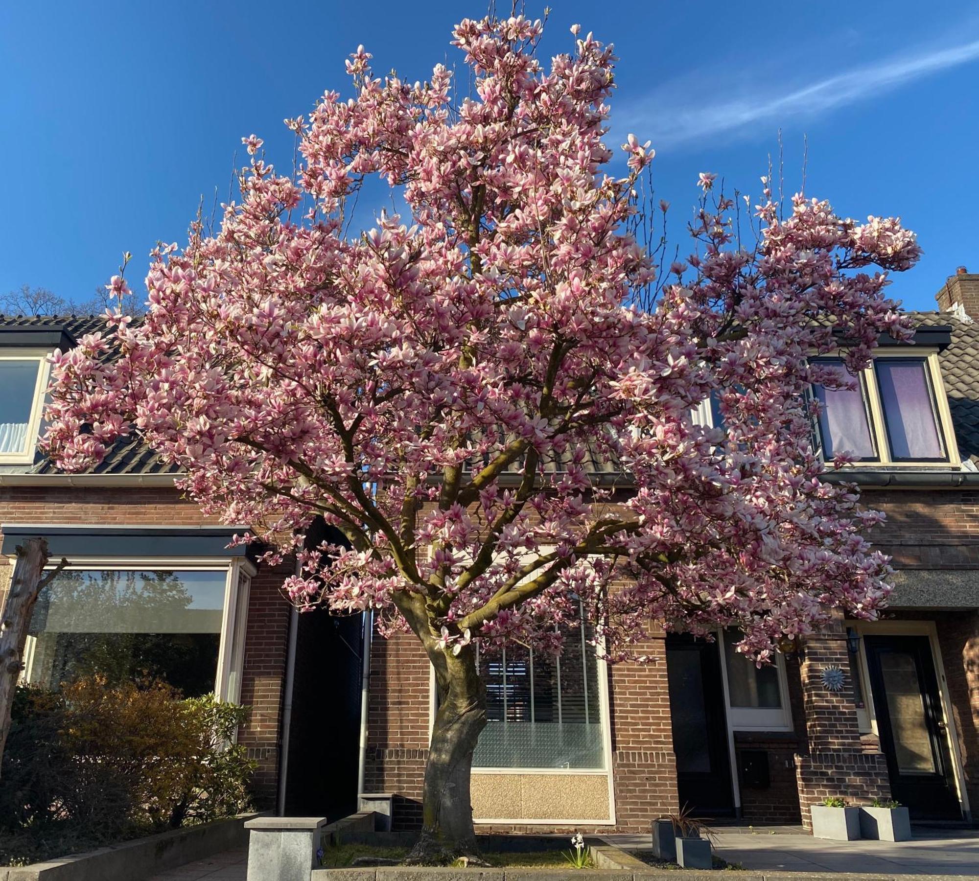 Sfeervol Verblijf Nabij Centrum Almelo Exterior foto